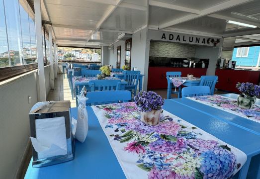 아다 루나 보즈자다