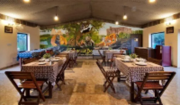 Jungle Book - A Nature Escape