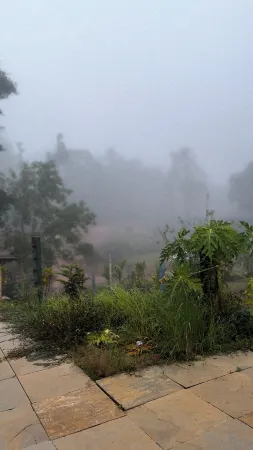 Kodachadri Pathalagere Homestay