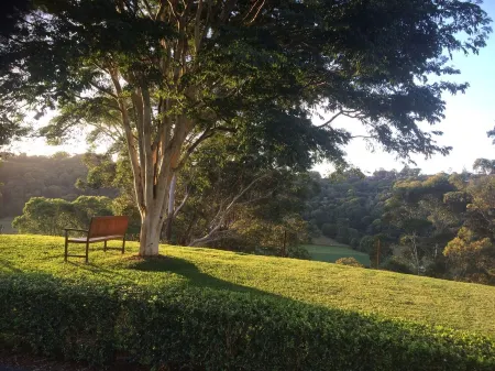 La Provence Cottage near Coolangatta and Byron Bay