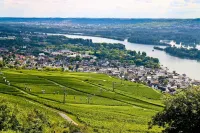 Apartment Marion Altenkirch Hotels in Rudesheim