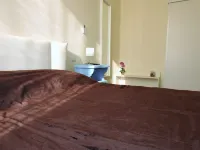 Completely renovated apartment in the center