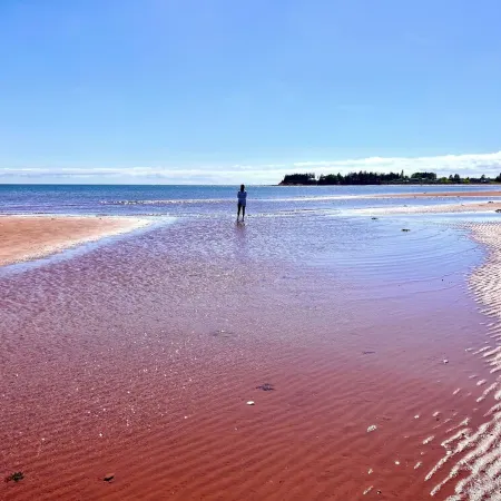 On one of the 𝗜𝘀𝗹𝗮𝗻𝗱'𝘀 𝗯𝗲𝘀𝘁 𝗯𝗲𝗮𝗰𝗵𝗲𝘀; enjoy sun, sand & sea!
