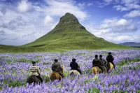 Panoramic Views- Nature- Northern lights cottage- NO 1- in Iceland.