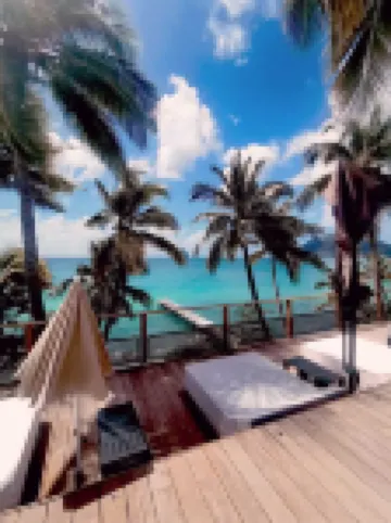 Le Joyau de la Cherry, studio Hotels in Le Diamant