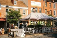 Sleek and Cozy Micro Fells Point Residence!