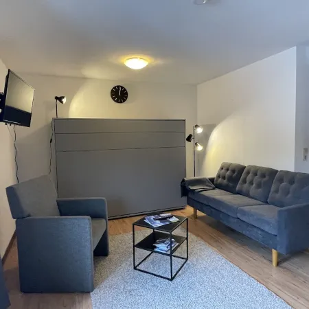 Cozy apartment 5 minutes walk to the ski lift