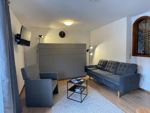 Cozy apartment 5 minutes walk to the ski lift Hotels in Feldberg