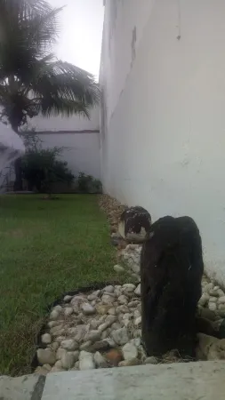 North coast, quick access to the most beautiful beaches. Boraceia, Juréia, ... Отели рядом с достопримечательностью «Foz do Rio Guaratuba»