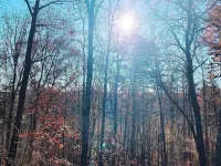 A Quick Drive Up from Atlanta---Escape in North GA