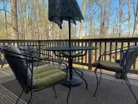 Lovers Lane FarmStay on a working family farm. Horses, cows, sheep, bees & more