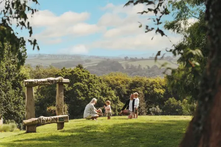 The Mole Resort - Lodges