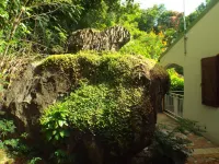 Residence la Rocheuse Studio Apricot Hotels in 