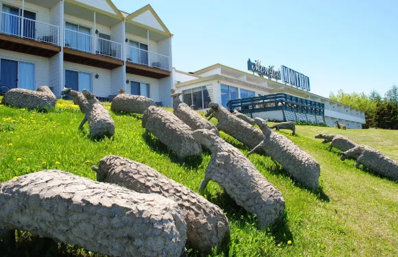 蒙喬立汽車旅館