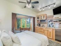 Viking Lodge 100B テルユライドのホテル