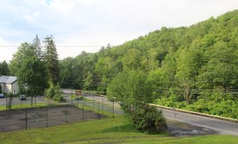 Catskill Seasons Inn