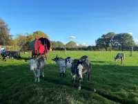 Fishpond House, Sotherton Hotels in Beccles