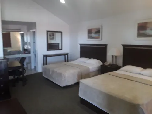 이탈리 인 이탈리