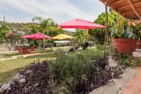 Del Lago Lofts - Casa Vacacional Temixco Hotels near Parque Solidaridad