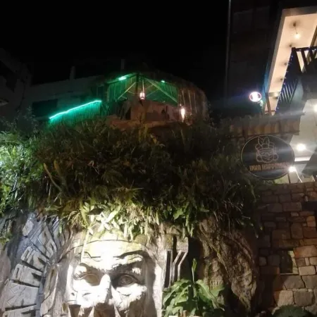 Andino Hotel Machupicchu