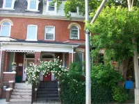 Comfy Guest House Hotels near The Beaches