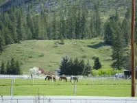 Mountain Springs Motel & RV Park Hotels in Barriere