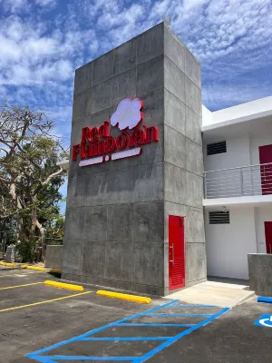 Red Flamboyan Guesthouse and Restaurant - balcón