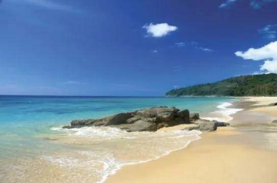 รูปภาพของLuxurious, quiet, private Pool-Villa Orchid, 7/7 housekeeper/butler