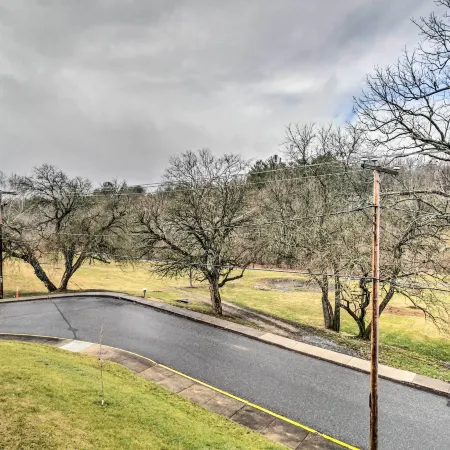 Walk to W&l: Lexington Condo Near Shops & Dining