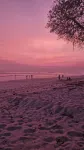 生態沖浪豪華帳篷 - 沙灘