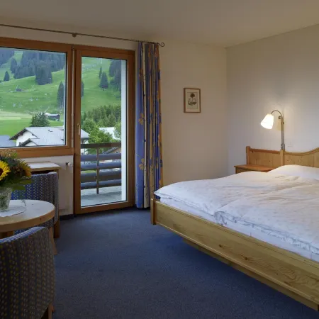 Hotel Alpina Parpan