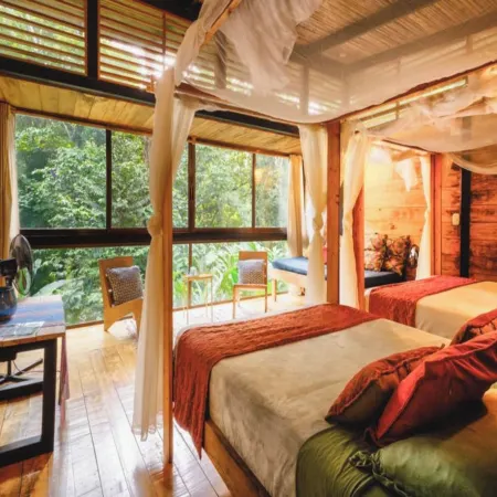 La Shamana - Ecological Concept in Jungle