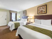Quality Inn Daytona Speedway - I-95 Hotels near Daytona 500 Experience