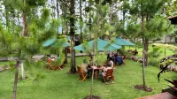 Cemoro Jati Glamping and Resort Lido Hotels in Cigombong