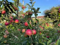 커닉 Tesco Superstore 주변 호텔