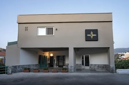 Well Being Luxury Apartments Отели в г. Evdilos
