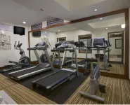 Radisson Goa Candolim - С тренажерным залом