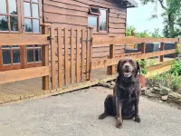 Mountain View Lodge, Luxury Woodland Lodge with Hot Tub