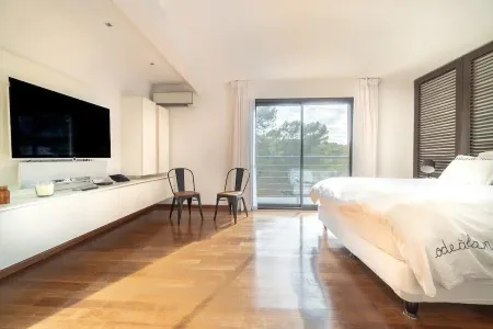 Luxury villa Cannes, 12pers,pool sauna, cinema,sport