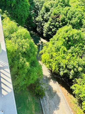 Relax in Fortuna! Villa with Free Car, AC in Bedrooms, Snorkeling Nearby Hotels in West End