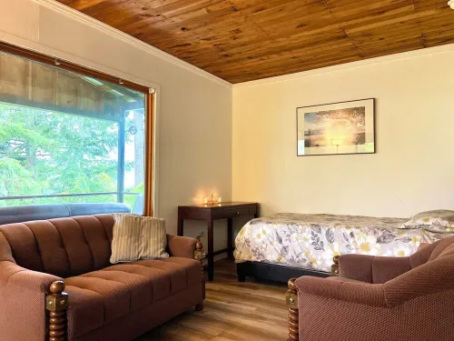 Small Cabin with gorgeous view and lake access