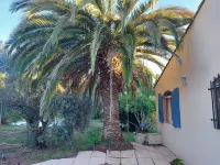 Mas of 150 M2 Saint Rémy de Provence, large swimming pool on well wooded land.