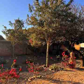 A haven of peace in the countryside surrounded by 90 olive and 10 argan trees Hotel Exterior