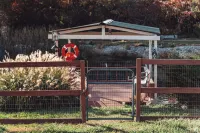 Cozy Getaway: Location, Dogs Stay Free, Fenced Yard, Fishing Pond