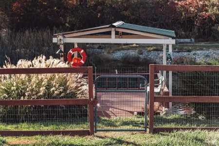 Cozy Getaway: Location, Dogs Stay Free, Fenced Yard, Fishing Pond