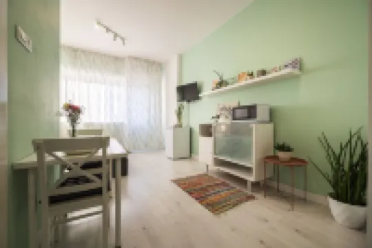 Studio Antique Stade Romain