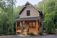 NEW mountain cottage between Dupont and Pisgah!!