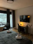 Rhine panorama suite with balcony
