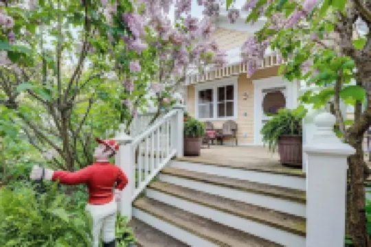 Charming Victorian, Private Hot Tub