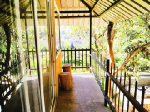 Experience Nature’s Charm: Unique Treehouse Stay by a Scenic Lake!